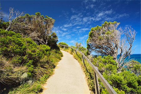 footpath - Path to Viewpoint, The Arch, Port Campbell National Park, Great Ocean Road, Victoria, Australia Stock Photo - Premium Royalty-Free, Code: 600-08026107