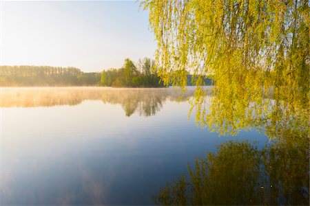 Lake and Trees in Early Morning Light, Lake Erlensee, Hanau, Germany Foto de stock - Sin royalties Premium, Código: 600-08026109