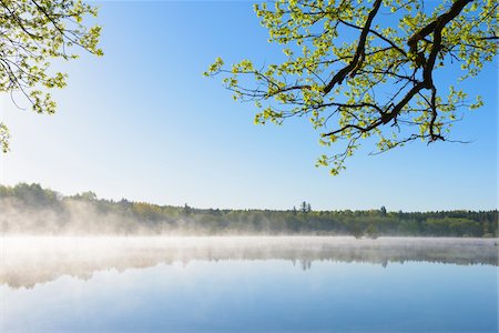 scenic and spring season - Morning Mist at Lake Rothenbachteich, Grebenhain, Vogelsberg District, Hesse, Germany Stock Photo - Premium Royalty-Free, Code: 600-08026111