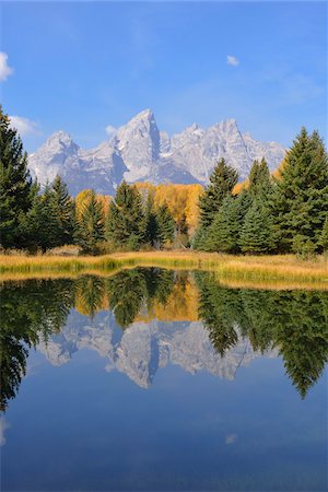 simsearch:600-08171789,k - Schwabacher Landing with Teton mountain range in background, autumn, Snake River, Jackson Hole, Grand Teton National Park, Wyoming, USA Stockbilder - Premium RF Lizenzfrei, Bildnummer: 600-08026154