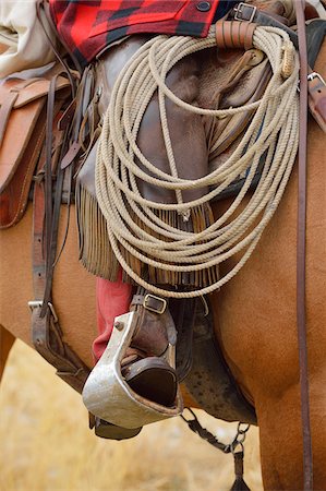 Close-up of Cowboy Riding Horse with Foot in Stirrup, Wyoming, USA Foto de stock - Sin royalties Premium, Código: 600-08026196