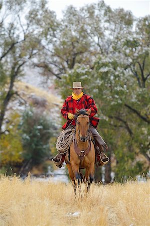 Cowboy Riding Horse, Rocky Mountains, Wyoming, USA Foto de stock - Sin royalties Premium, Código: 600-08026192