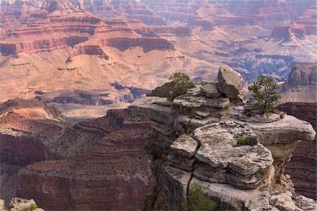 North Rim, Grand Canyon National Park, Arizona, USA Photographie de stock - Premium Libres de Droits, Code: 600-08059801