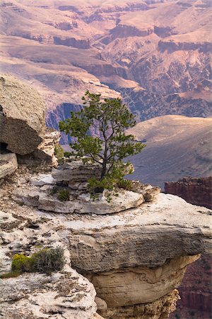 desert view from above - North Rim, Grand Canyon National Park, Arizona, USA Stock Photo - Premium Royalty-Free, Code: 600-08059803