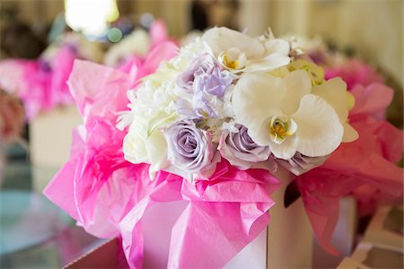 flower box - Bouquets with Roses and Orchids for Wedding Stock Photo - Premium Royalty-Free, Code: 600-08059828