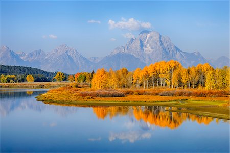 simsearch:862-08091564,k - Oxbow Bend of Snake River with Mt Moran and American Aspens (Populus tremuloides) in Autumn Foliage, Grand Teton National Park, Wyoming, USA Photographie de stock - Premium Libres de Droits, Code: 600-08082861