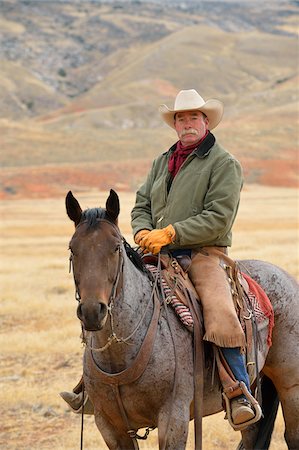 schnauzbart - Cowboy Riding Horse, Shell, Wyoming, USA Stockbilder - Premium RF Lizenzfrei, Bildnummer: 600-08082916
