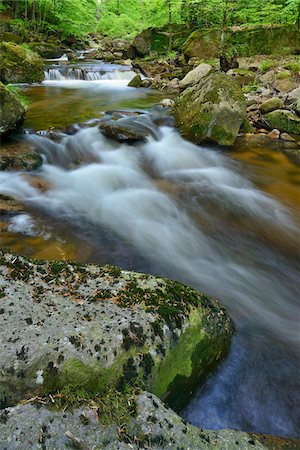 Ilse, Ilse Valley. Heinrich Heine Trail, Ilsenburg, Harz National Park, Harz, Saxony-Anhalt, Germany Stockbilder - Premium RF Lizenzfrei, Bildnummer: 600-08082976