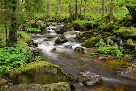 Kalte Bode in Elendstal, Schierke, Harz, Saxony-Anhalt, Germany Foto de stock - Sin royalties Premium, Código: 600-08082970