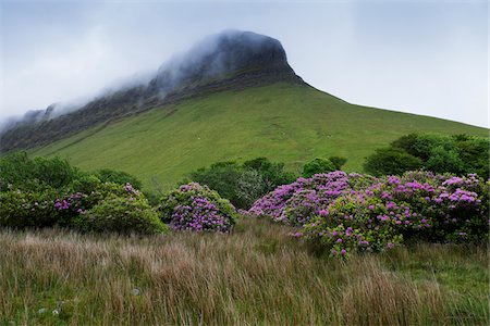 simsearch:700-03685771,k - Benbulbin with mist, Dartry Mountains, County Sligo, Republic of Ireland Stock Photo - Premium Royalty-Free, Code: 600-08102740