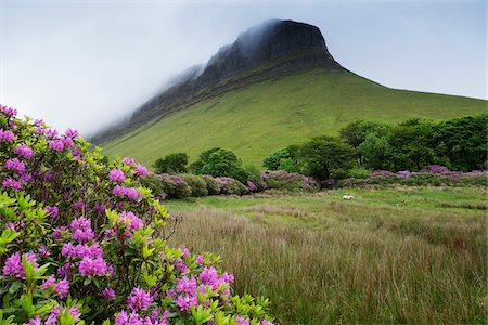 simsearch:700-08102779,k - Benbulbin with mist, Dartry Mountains, County Sligo, Republic of Ireland Stock Photo - Premium Royalty-Free, Code: 600-08102742