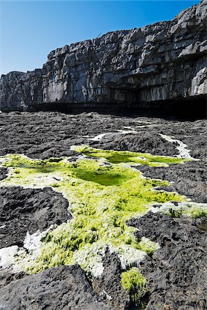 Coastal cliffs with moss growing on rocky shoreline, Aran Islands, Republic of Ireland Stockbilder - Premium RF Lizenzfrei, Bildnummer: 600-08102757