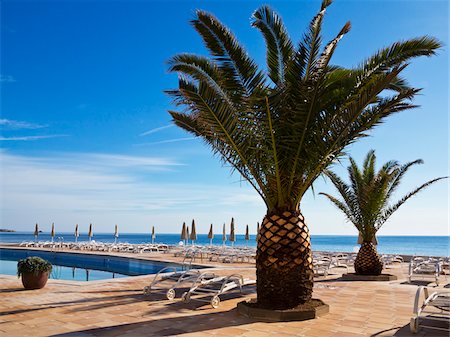 Sunbeds and Closed Sunshades by Palm Tree at Hotel, Cala Ratjada, Majorca, Balearic Islands, Spain Foto de stock - Sin royalties Premium, Código: 600-08102920