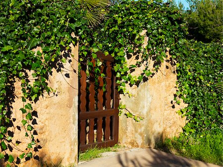 simsearch:400-07627719,k - Mediterranean Garden Door Overgrown with Ivy Stock Photo - Premium Royalty-Free, Code: 600-08102930