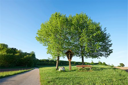 simsearch:600-02724703,k - Landscape with Silver Birch (Betula pendula) Trees on Meadow on  Sunny Day in Spring, Bavaria, Germany Photographie de stock - Premium Libres de Droits, Code: 600-08122193