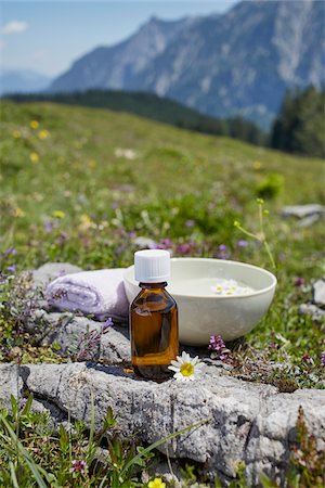 Homeopathic Medicine and Chamomile, Strobl, Salzburger Land, Austria Stock Photo - Premium Royalty-Free, Code: 600-08138858