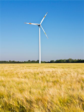 Wind turbine with wheat field in foreground, Germany Photographie de stock - Premium Libres de Droits, Code: 600-08169205