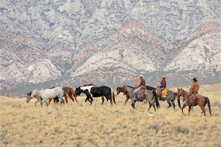 simsearch:841-07540446,k - Cowboys and Cowgirl herding horses in wilderness, Rocky Mountains, Wyoming, USA Stock Photo - Premium Royalty-Free, Code: 600-08171759