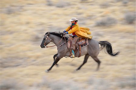 simsearch:400-05380126,k - Blurred motion of cowgirl on horse galloping in wilderness, Rocky Mountains, Wyoming, USA Photographie de stock - Premium Libres de Droits, Code: 600-08171775