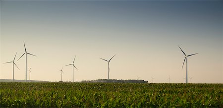 fields scenic low angle - Wind farm and field, Germay. Stock Photo - Premium Royalty-Free, Code: 600-08210017