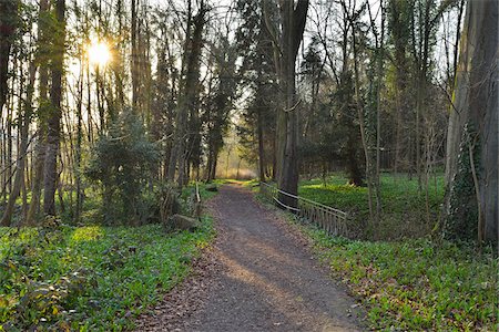 footpath - Gravel Path through Park with Sun in Early Spring, Kleinheubach, Churfranken, Spessart, Bavaria, Germany Stock Photo - Premium Royalty-Free, Code: 600-08232258