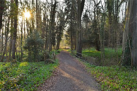 footpath scene - Gravel Path through Park with Sun in Early Spring, Kleinheubach, Churfranken, Spessart, Bavaria, Germany Stock Photo - Premium Royalty-Free, Code: 600-08232258