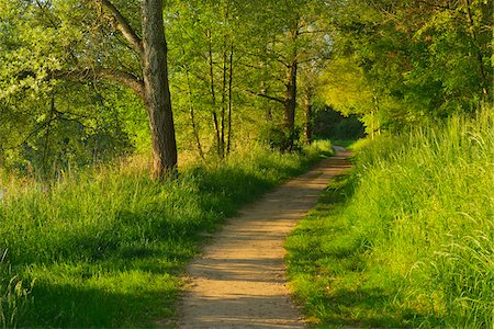 scenic footpaths - Path in Morning in Spring, Niedernberg, Miltenberg District, Churfranken, Franconia, Bavaria, Germany Stock Photo - Premium Royalty-Free, Code: 600-08232307