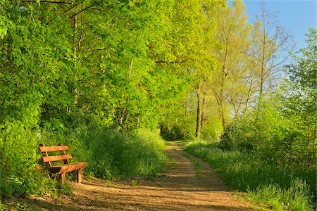 Bench by Path in Morning in Spring, Niedernberg, Miltenberg District, Churfranken, Franconia, Bavaria, Germany Stock Photo - Premium Royalty-Free, Code: 600-08232308