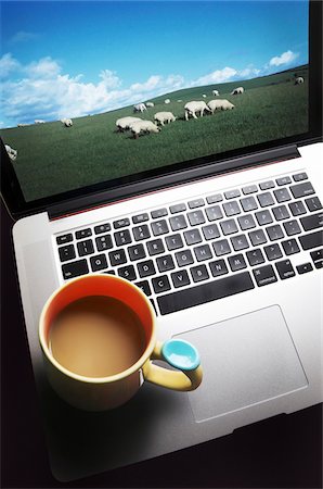 Coffee Mug on Laptop Computer with Flock of Sheep on Screen Stock Photo - Premium Royalty-Free, Code: 600-08232321