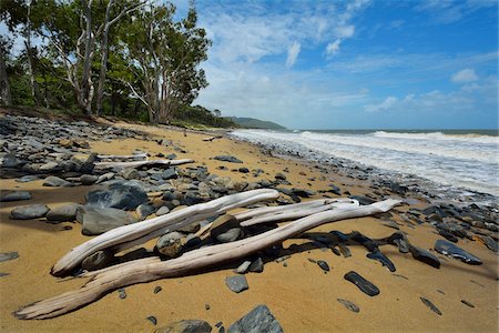 Driftwood on Beach, Captain Cook Highway, Queensland, Australia Stock Photo - Premium Royalty-Free, Code: 600-08274358