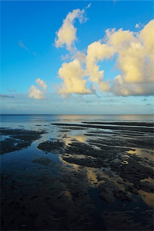 simsearch:600-08312091,k - Mud Flat on Coast, Cairns, Queensland, Australia Stockbilder - Premium RF Lizenzfrei, Bildnummer: 600-08274366
