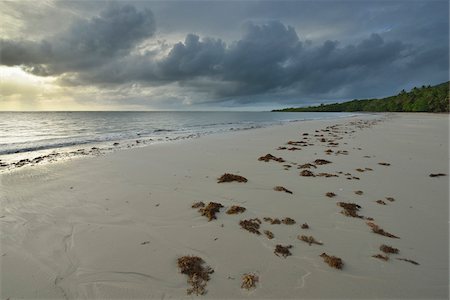 daintree nationalpark - Sandy Beach with Storm Clouds in Morning, Daintree Rainforest, Cape Tribulation, Queensland, Australia Stockbilder - Premium RF Lizenzfrei, Bildnummer: 600-08312107