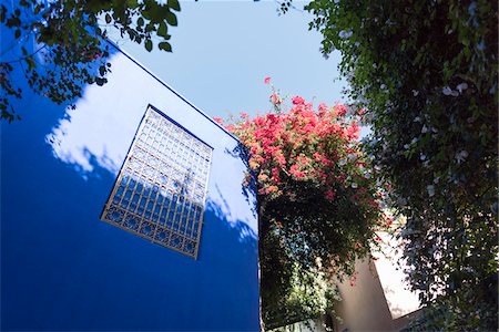 stone wall frame - Majorelle Gardens, Marrakesh, Morocco, North Africa, Africa Stock Photo - Premium Royalty-Free, Code: 600-08353475