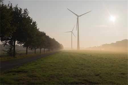 rayon (lumière naturelle) - Wind Turbines in Morning Mist, Halle Westfalen, Gutersloh, North Rhine-Westphalia, Germany Photographie de stock - Premium Libres de Droits, Code: 600-08416834