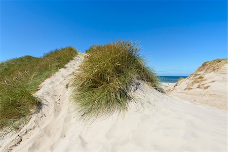 Sand Dunes, Klitmoller, North Jutland, Denmark Photographie de stock - Premium Libres de Droits, Code: 600-08519486