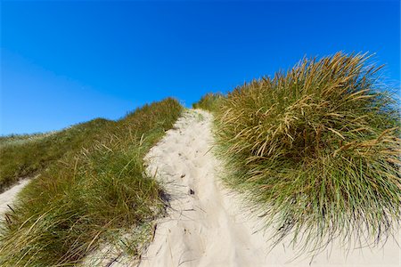 danish (places and things) - Path through Dunes to Beach, Klitmoller, North Jutland, Denmark Photographie de stock - Premium Libres de Droits, Code: 600-08519488