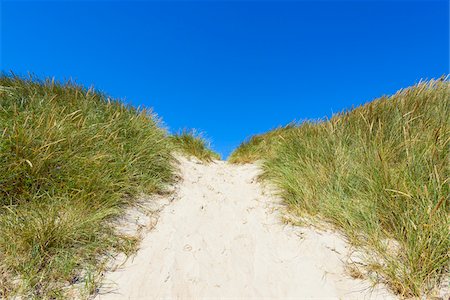 simsearch:600-08578846,k - Path through Dunes to Beach, Klitmoller, North Jutland, Denmark Stock Photo - Premium Royalty-Free, Code: 600-08519490