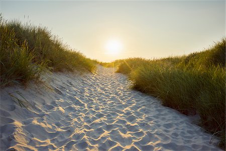 sand dune - Sandy Path through the Dunes at Sunset to the Beach, Bunken, Aalbaek Bay, Baltic Sea, North Jutland, Denmark Foto de stock - Sin royalties Premium, Código: 600-08512564