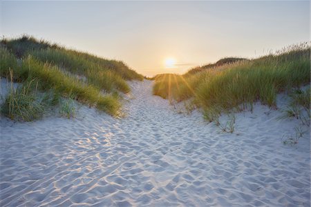 sunset ray - Sandy Path through the Dunes at Sunset to the Beach, Bunken, Aalbaek Bay, Baltic Sea, North Jutland, Denmark Stock Photo - Premium Royalty-Free, Code: 600-08512565