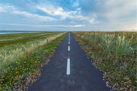 region nordjylland - Bikeway on Headland in the Morning, Thy National Park, Agger, North Jutland, Denmark Foto de stock - Sin royalties Premium, Código: 600-08578843