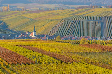 simsearch:700-08973620,k - Colorful Vineyards in Autumn, Escherndorf, Maininsel, Alte Mainschleife, Mainfranken, Franconia, Bavaria, Germany Foto de stock - Sin royalties Premium, Código: 600-08578868