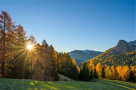 Mountain with beautifully colored larches and sun, Vigo di Fassa, Dolomites, Trentino-Alto Adige, South Tirol, Italy, Europe Foto de stock - Sin royalties Premium, Código: 600-08639147