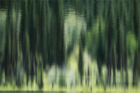 reflection not people - Abstract reflection of green trees in calm water, British Columbia, Canada Stock Photo - Premium Royalty-Free, Code: 600-08657519