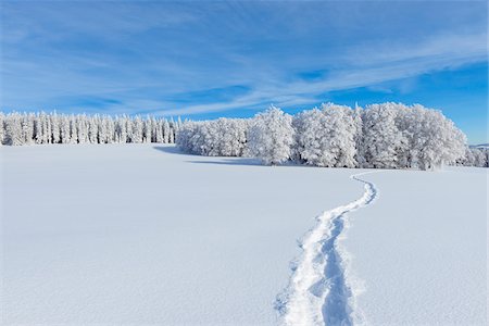 Snow Covered Winter Landscape with Snowshoe Trail, Schauinsland, Black Forest, Freiburg im Breisgau, Baden-Wurttemberg, Germany Stock Photo - Premium Royalty-Free, Code: 600-08723065