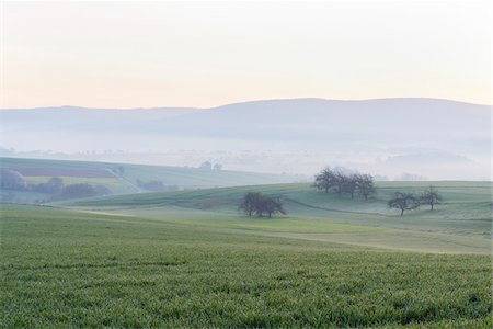 Countryside on Misty Morning at Dawn, Monchberg, Spessart, Bavaria, Germany Photographie de stock - Premium Libres de Droits, Code: 600-08723075