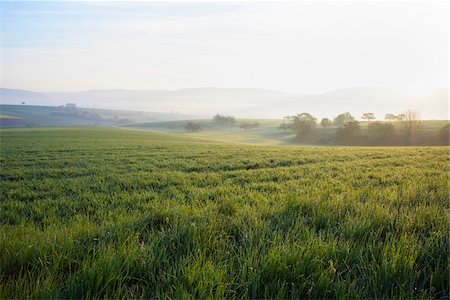 simsearch:600-07968229,k - Countryside on Misty Morning at Sunrise, Monchberg, Spessart, Bavaria, Germany Stock Photo - Premium Royalty-Free, Code: 600-08723078