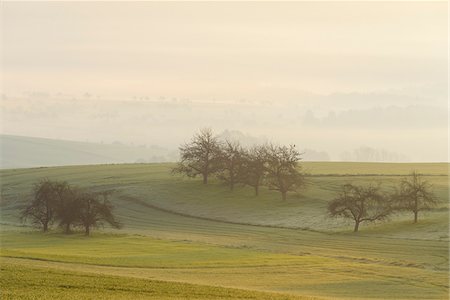 Countryside on Misty Morning, Monchberg, Spessart, Bavaria, Germany Photographie de stock - Premium Libres de Droits, Code: 600-08723081