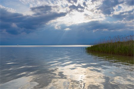 Reeds at Lake Neusiedl with Sun at Weiden am See, Burgenland, Austria Stock Photo - Premium Royalty-Free, Code: 600-08783086