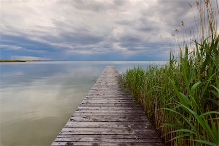 reeds - Wooden Jetty with Reeds at Weiden am See, Lake Neusiedl, Burgenland, Austria Stock Photo - Premium Royalty-Free, Code: 600-08783092