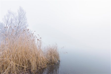 simsearch:600-08797083,k - Lake and Reeds with Fog in Winter, Hesse, Germany Stock Photo - Premium Royalty-Free, Code: 600-08797100